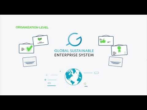 GSES System explainer